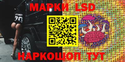 тгк Славянск-на-Кубани