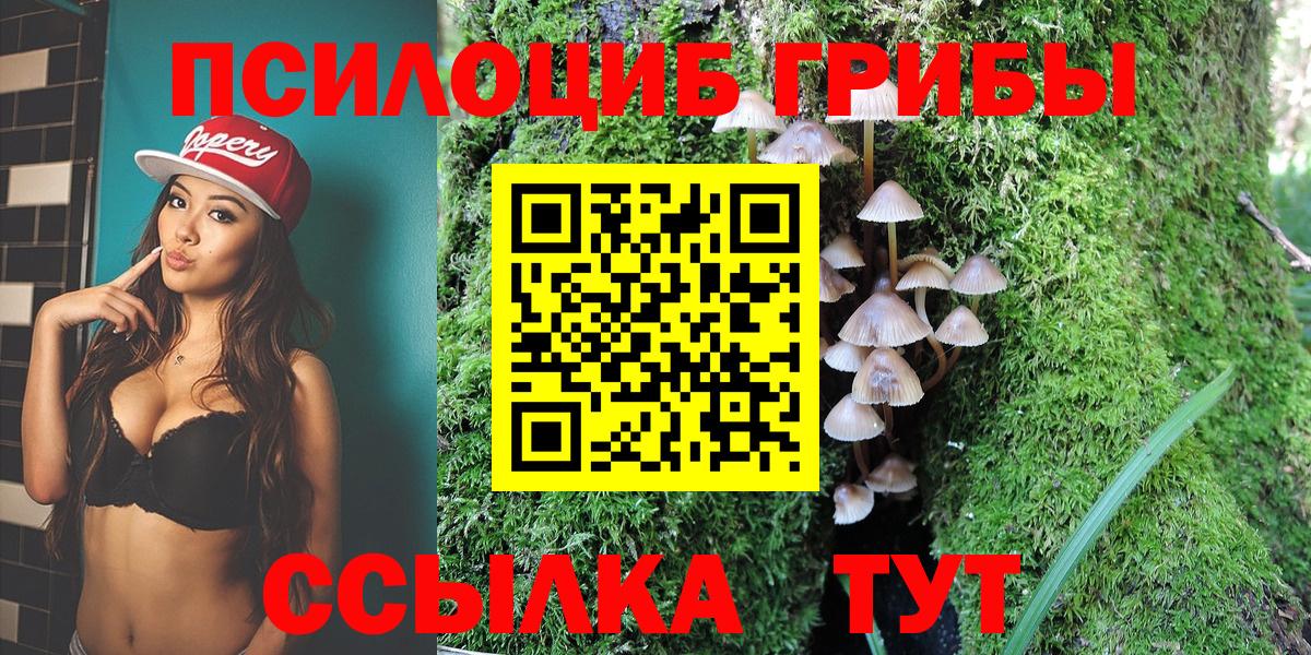 наркотики  Псилоцибиновые грибы мухоморы  Вход с VPN  Белая Калитва 