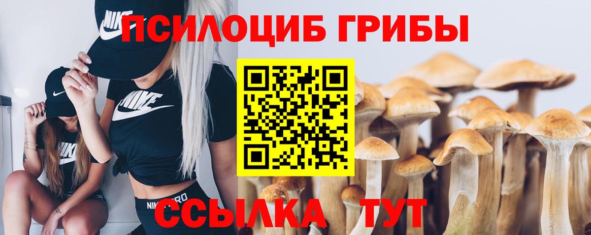 Псилоцибиновые грибы Psilocybine cubensis Белая Калитва